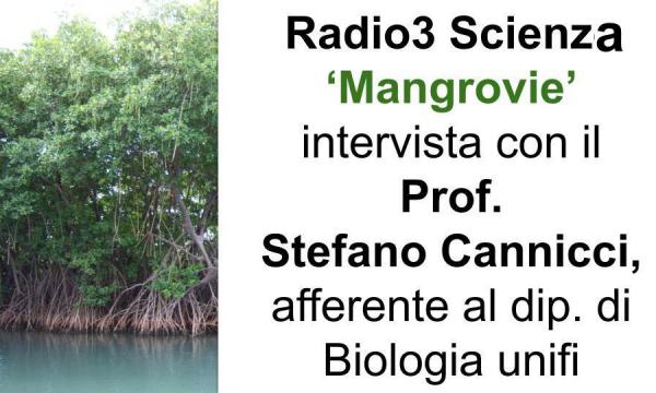 RADIO3 SCIENZA Intervista al prof. Stefano Cannicci