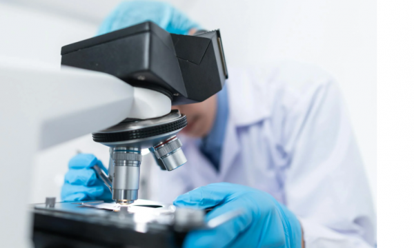 THE HIDDEN AND THE VISIBLE