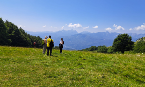 Iscrizioni per il Laboratorio di botanica applicata per le valutazioni ambientali.