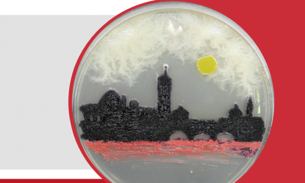 Convegno One Health: “Il Microbiota: un mondo parallelo e invisibile”.