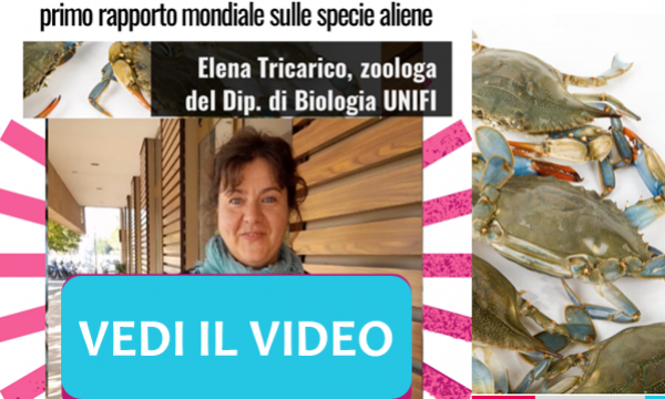 Rapporto mondiale IPBES sulle specie aliene invasive.