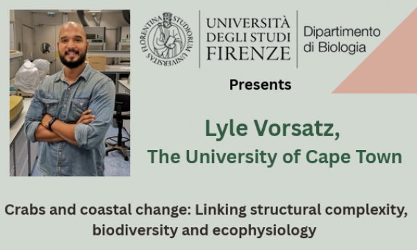 Lyle Vorsatz The University of Cape Town.
