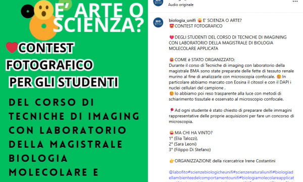 E' SCIENZA O ARTE? 