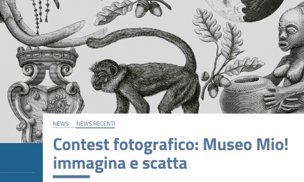  contest fotografico nei musei del Sistema Museale di Ateneo