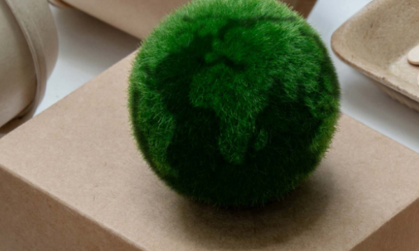 Paper E Packaging Match Tecnologie e competenze per l&rsquo;industria cartaria, converting e packaging sostenibile