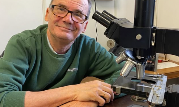 Cellular and Molecular Processes in Wound Healing