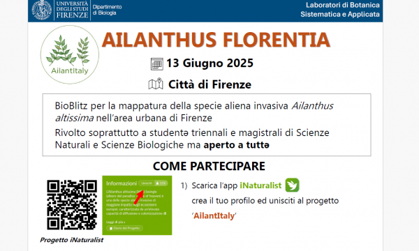 BioBlitz per la mappatura della specie aliena invasiva Ailanthus.