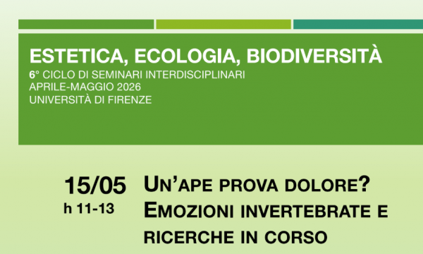  6&deg;ciclo di seminari interdisciplinari.