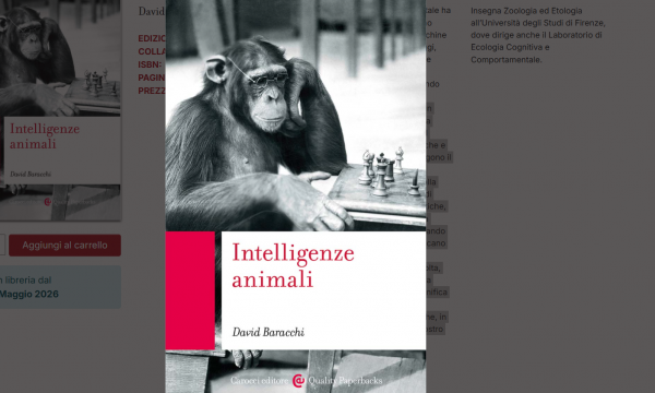 Intelligenze animali.