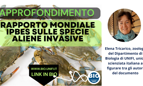 Intervista di approfondimento sul Rapporto mondiale IPBES sulle specie aliene invasive.