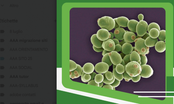 Conferenza “La biodiversità microbica come strumento per affrontare le sfide dell'era globale-Microbial Diversity for a Sustainable Future-MIDAS”.