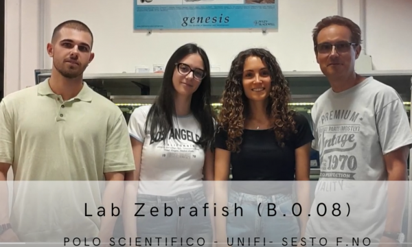 presentazione, scheda tecnica e 2 video del Laboratorio Zebrafish (B.0.08) .