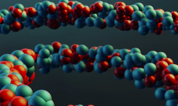 REPEATED ADAPTATION ACROSS PLANT SPECIES 
