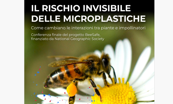 Il rischio invisibile delle microplastiche (BeeSafe).
