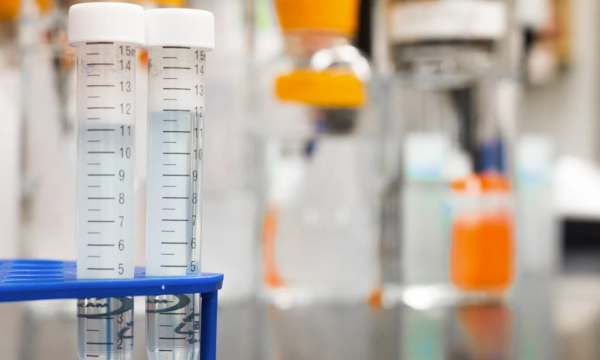 Bando FISM 2025 per progetti di ricerca sulla sclerosi multipla.