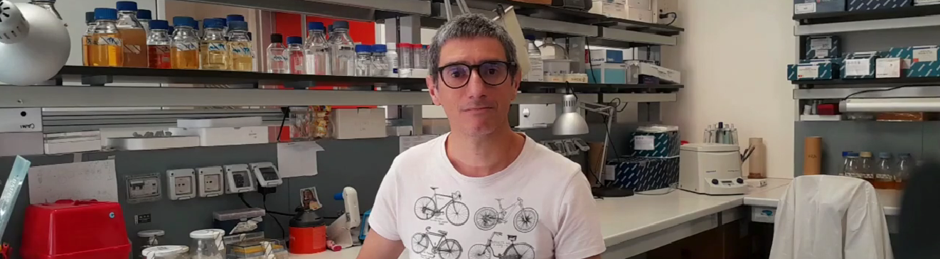 laboratorio genetica microbica e Mengoni