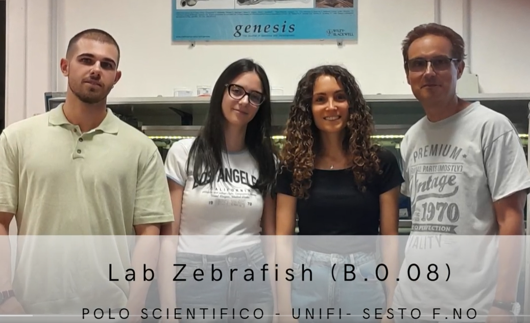 gruppo di ricerca laboratorio zebrafish